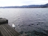 Zurich_2015_11