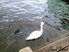 Zurich_2015_12