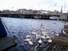 Zurich_2015_13